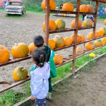 foster-children-pumpkin-picking-in-west-midlands