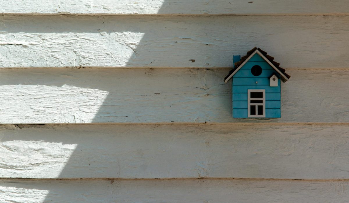 Make your house a home (again) – Benefits of fostering as an empty nester